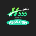 H555 Game