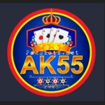 AK55 Game