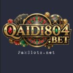 QAIDI 804 Game