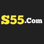 S55 Game