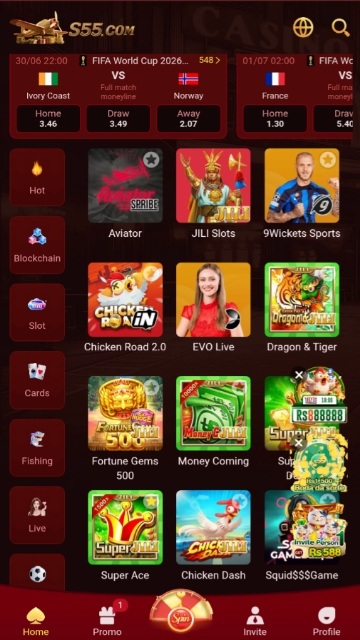 S55 Game