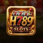 H789 Game