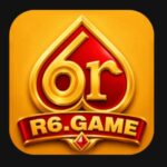 6R Game