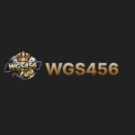 WGS456 Game