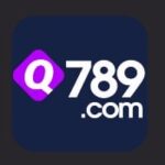 Q789 Game